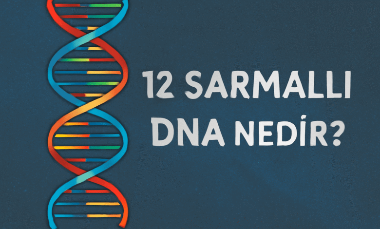 12 Sarmallı dna nedir?