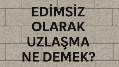 Edimsiz olarak uzlaşma ne demek