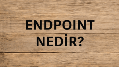 Endpoint nedir