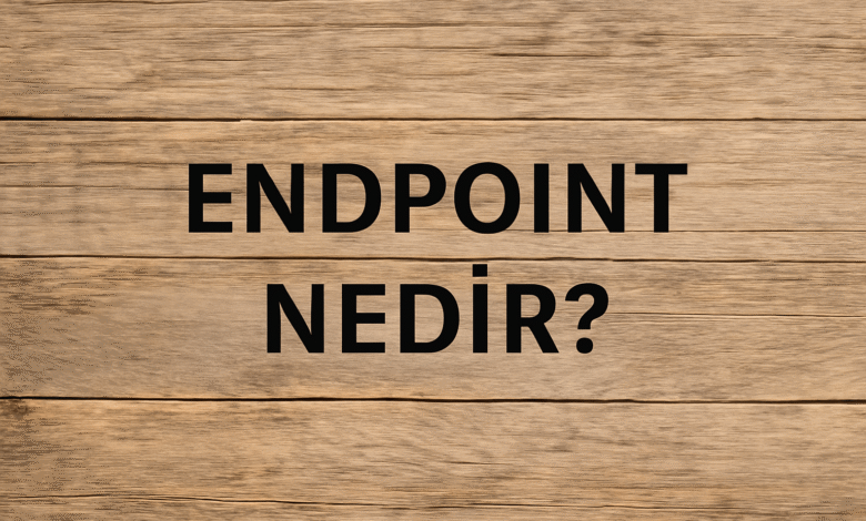 Endpoint nedir