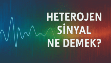 Heterojen sinyal ne demek?