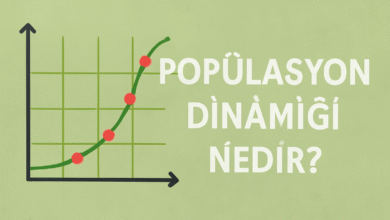 Popülasyon dinamiği nedir