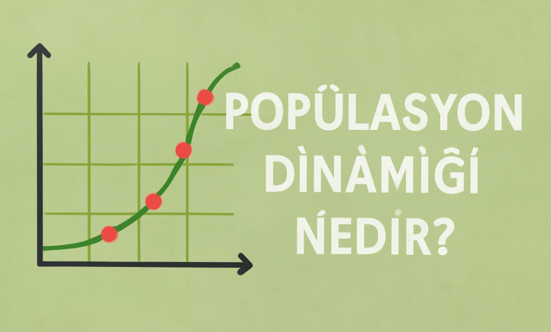 Popülasyon dinamiği nedir